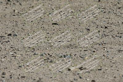 media/Oct-26-2025-Race Pace (Sun) [[c1447ca738]]/Verified/9-Turn 9 (130pm)/